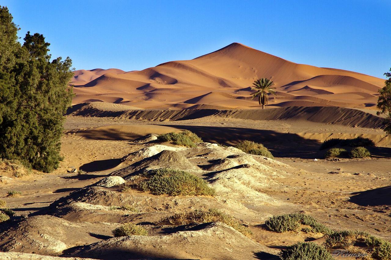 Riadsuerteloca Merzouga Hassilabied Dış mekan fotoğraf The Sahara Desert